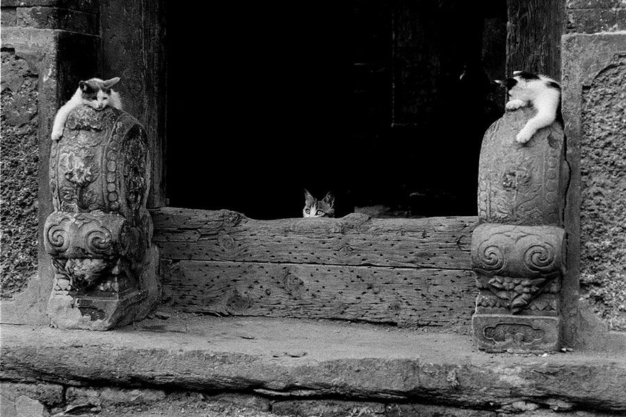 Photo exhibition narrates charm of old Beijing