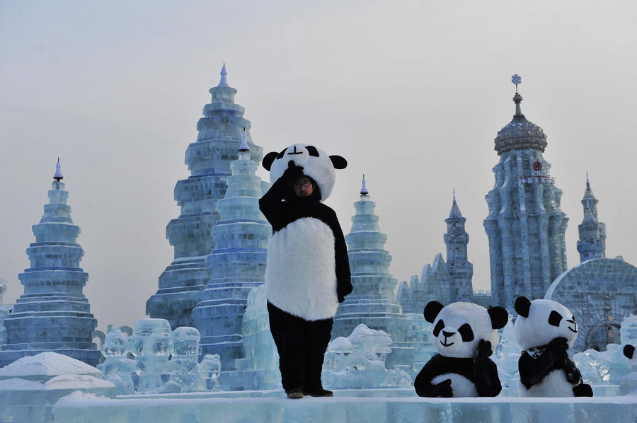 Visitors enjoy ice world