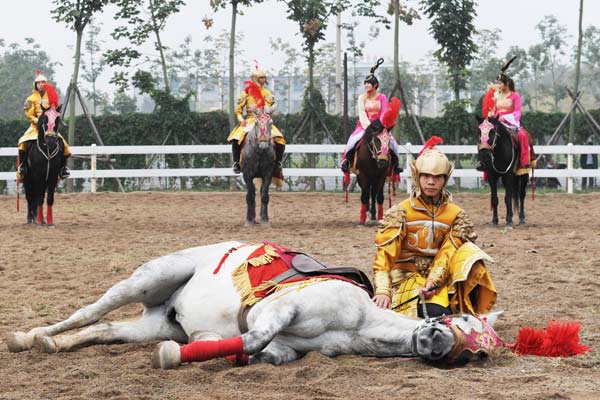 Ancient horsemanship brought back to life