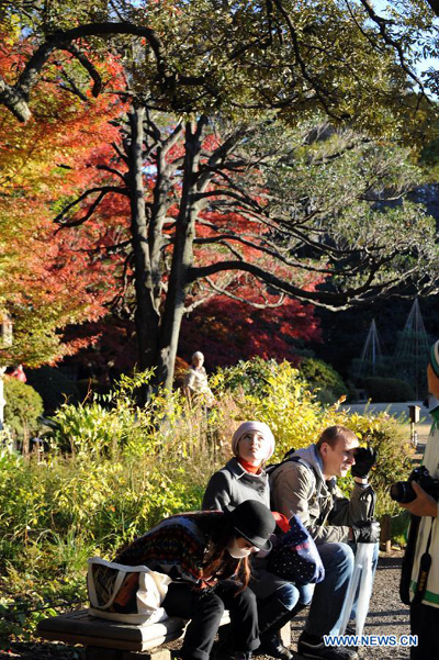 Winter scenery in Rikugi Garden of Tokyo