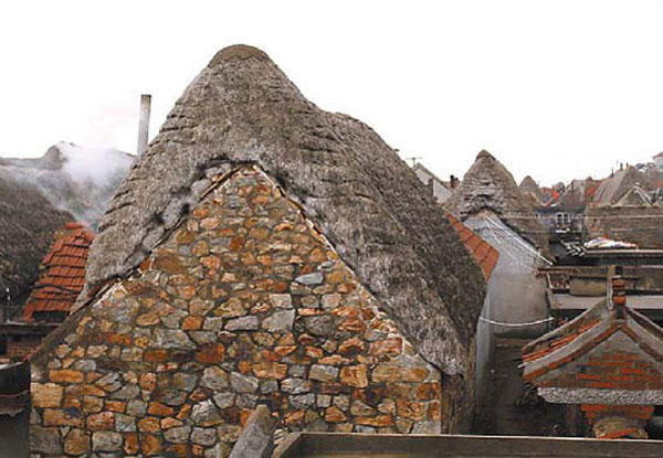 Heritage homes made from seaweed