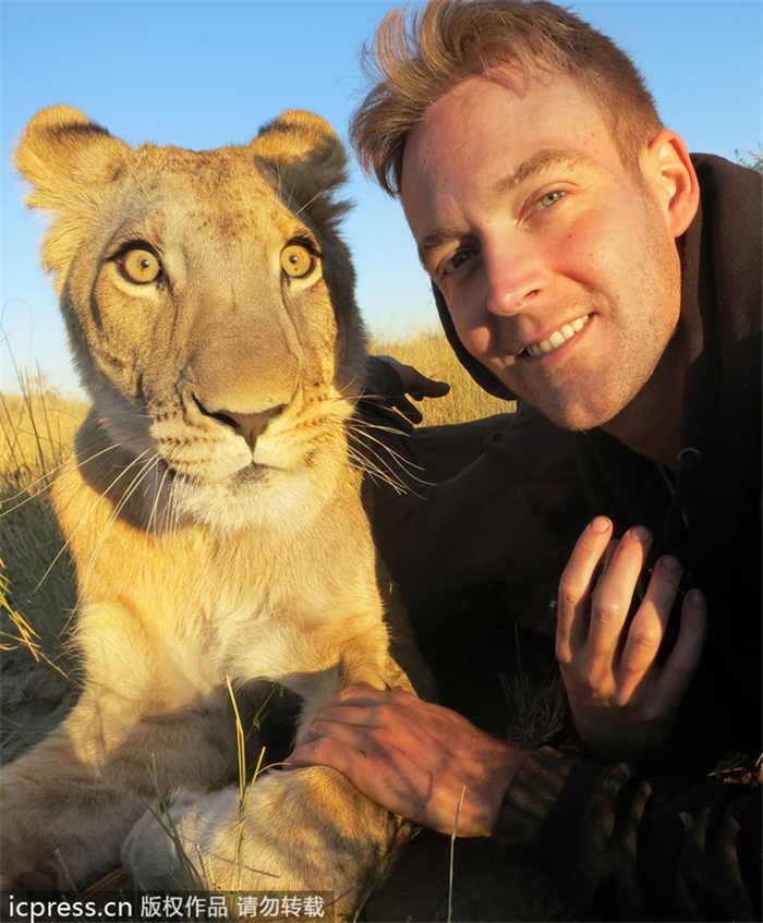 Lioness bonds with new family