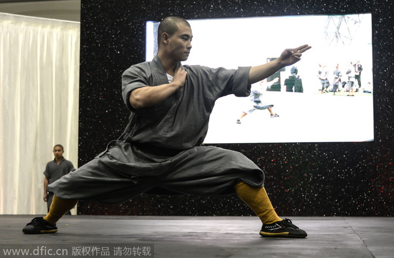 Shaolin culture goes popular in Europe