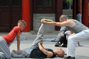 Shaolin culture goes popular in Europe