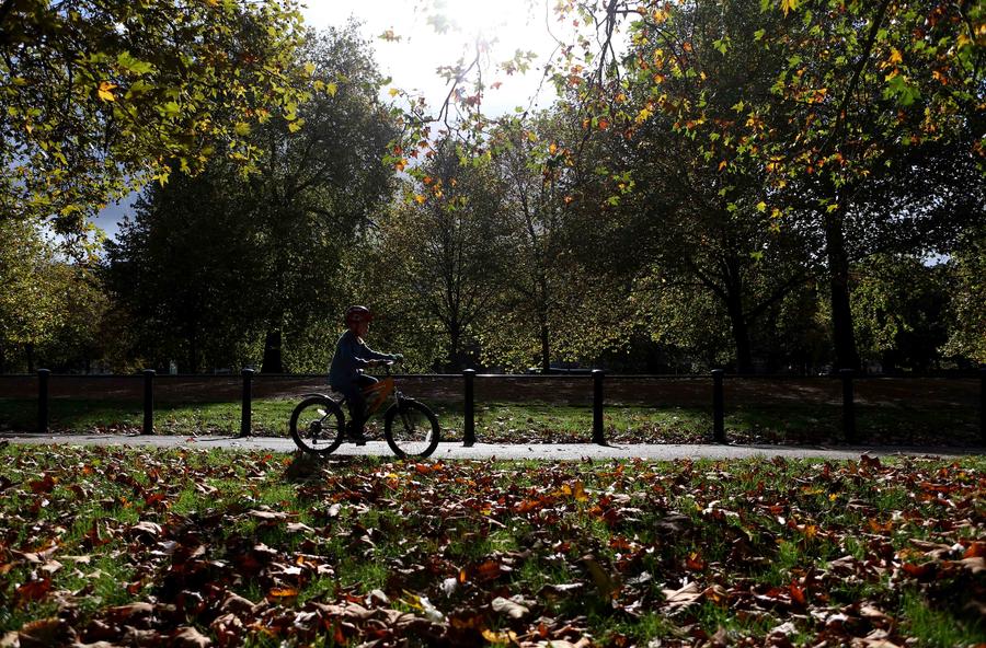 Glance of Central London after autumn rains