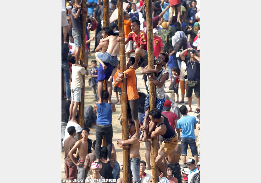 Men in Indonesia climb greased poles to win prizes