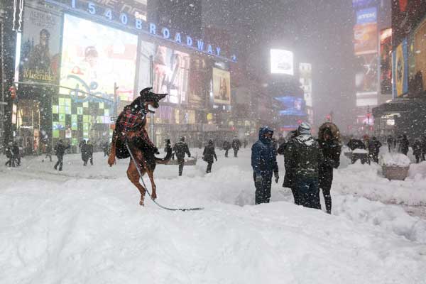 New York, Washington clean up after fatal blizzard