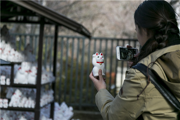 Thousands of beckoning cat on display in Japan's Goutoku Temple