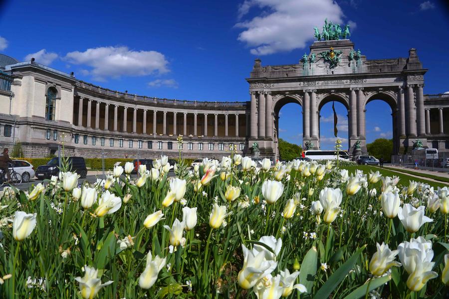 Flowers in full bloom in Brussels, Belgium