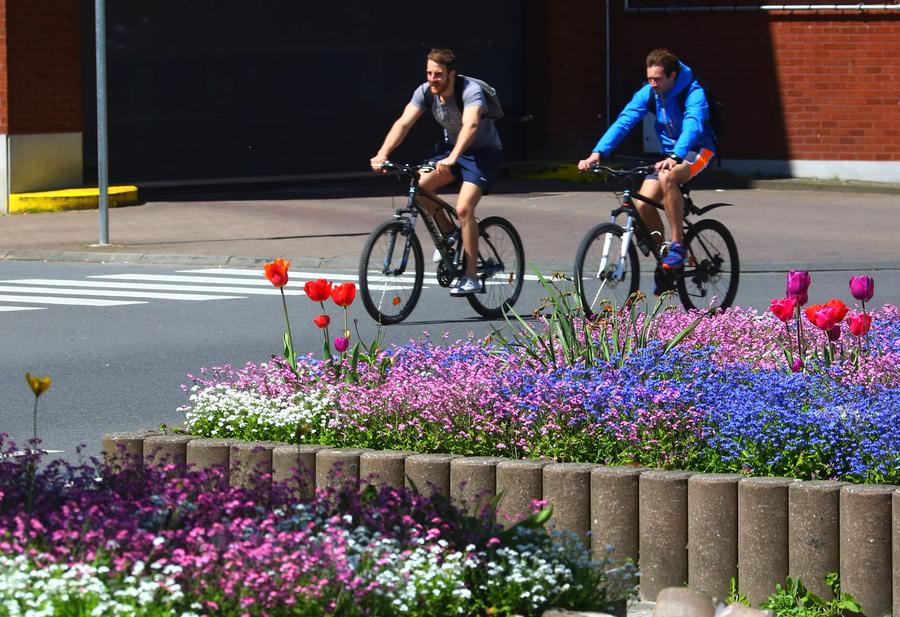 Flowers in full bloom in Brussels, Belgium