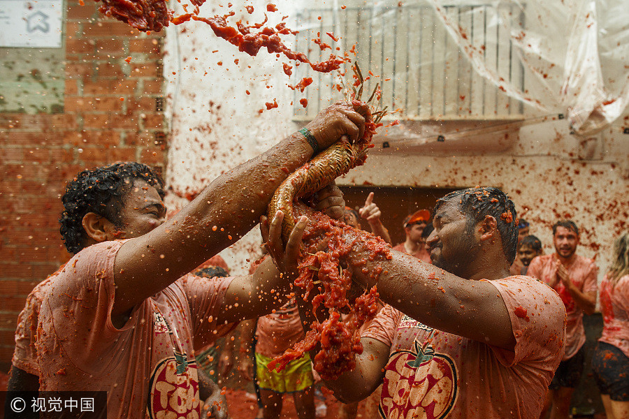 Revelers hurl 150 tons of tomatoes in Spanish festival